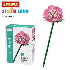 Hoa Cẩm Chướng Hồng