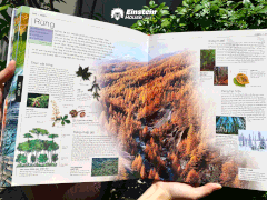 Thuyết minh trực quan nhất về Trái Đất - DK Earth