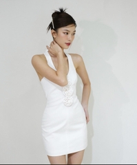 Đầm thương hiệu Itscicico