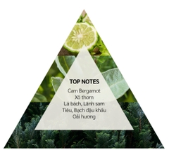 Nước hoa Jillian: Dark fiction (EDP) 50ml