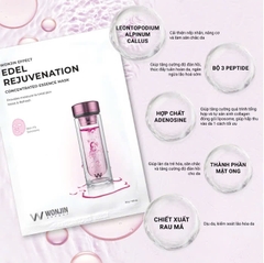 Combo 5 Mặt Nạ Truyền Dịch Nâng Cơ Trẻ Hóa Da WonJin Effect Edel Rejuvenation Mask 30g