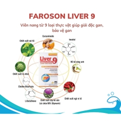 Viên Uống Giải Độc Gan Bảo Vệ Gan Faroson Liver 9