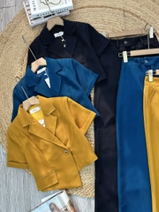 Set Bộ Nữ Áo Croptop Cổ Vest Tà Lệch Mix Quần Dáng Dài Chất Cát Hàn Công Sở MIMIX - FL3