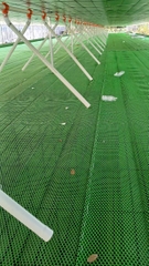 ĐƯỜNG ĂN TỰ ĐỘNG 1 ĐỘNG CƠ CỬA TRẠI VỊT 12X80m