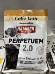 Bột bổ sung năng lượng Hammer PERPETUEM Ultra Endurance Fuel 2.0