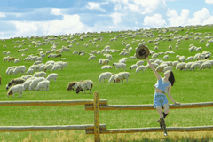 Du lịch Nội Mông và những điều nhất định cần biết