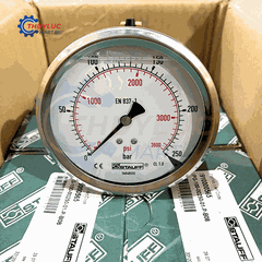 Đồng hồ đo áp suất D100, 250bar, chân lưng, SPG-100-00250-01-P-B08