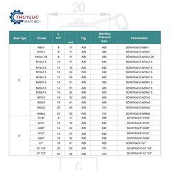 Đầu kiểm tra áp lực M16x2 - G1/8”, SD-M16x2-F-G1/8