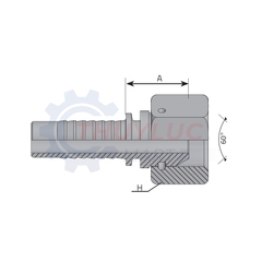 Đầu bấm 1.1/4'' - 1.1/4'' BSP, FDG2020SP