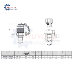 Đầu kiểm tra áp lực Dicsa M16x2 - G1/8'', MPR 1/8 C/J CM