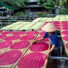 Rice & Products from rice