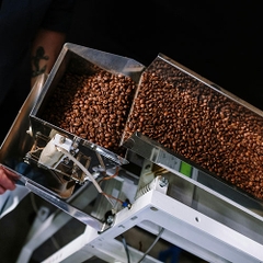 Roasted & Ground Coffee - In bulk