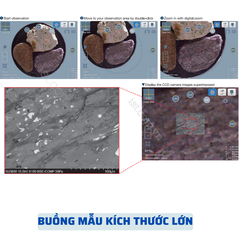 Kính hiển vi điện tử FE-SEM SU5000