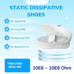 Giày phân tán tĩnh điện Model M01A-002