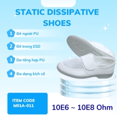 Giày phân tán tĩnh điện Model M01A-011