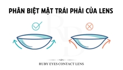 Cách phân biệt mặt trái phải của Lens? Mẹo phân biệt nhanh