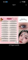 MI BEAR 10 HÀNG SẴN KEO (2)