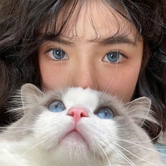 Kính Áp Tròng Màu Xanh Milk Jelly Blue / 799 Blue