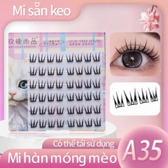 Mi Mèo Sẵn Keo 6 Hàng (MÃ A)