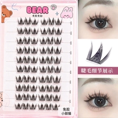 Tổng Hợp Mi Giả 10 Hàng Sẵn Keo