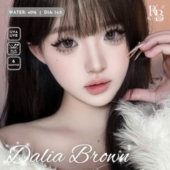 Kính Áp Tròng Dreamoon Màu Nâu Dalia Brown