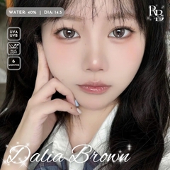Kính Áp Tròng Dreamoon Màu Nâu Dalia Brown