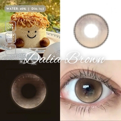 Kính Áp Tròng Dreamoon Màu Nâu Dalia Brown