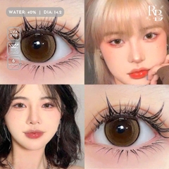 Kính Áp Tròng Màu Nâu Morning Dew Brown 14.2mm