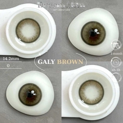 Kính Áp Tròng Dreamoon Màu Nâu Galy Brown