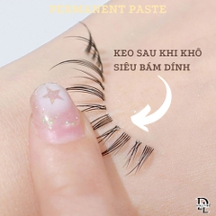 Keo Dán Mi Cao Cấp Dollymi