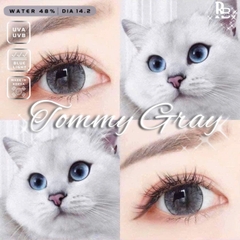 Kính Áp Tròng Ruby Eyes 0 Độ Màu Xám Tommy Gray
