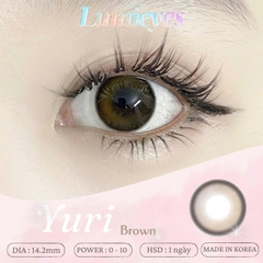 Lens 1 Ngày Màu Nâu Yuri Brown 14.2mm