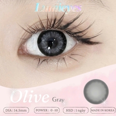 Lens 1 Ngày Màu Xám Olive Gray 14.5mm