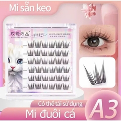 Mi Giả Sẵn Keo Có Số