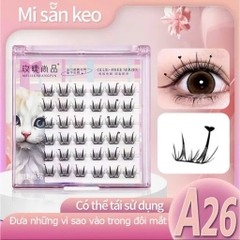 Mi Giả Sẵn Keo Có Số