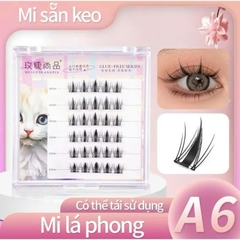 Mi Giả Sẵn Keo Có Số