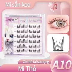Mi Giả Sẵn Keo Có Số