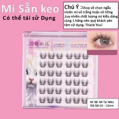 Mi Giả Sẵn Keo