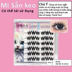 Mi Giả Sẵn Keo