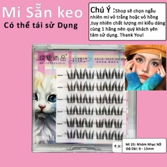 Mi Giả Sẵn Keo