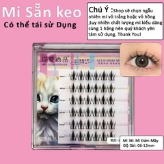 Mi Giả Sẵn Keo