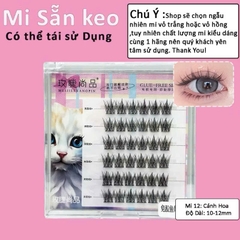 Mi Giả Sẵn Keo