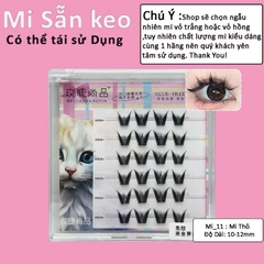 Mi Giả Sẵn Keo