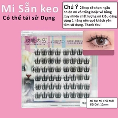 Mi Giả Sẵn Keo