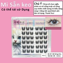Mi Giả Sẵn Keo