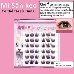 Mi Giả Sẵn Keo