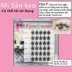 Mi Giả Sẵn Keo