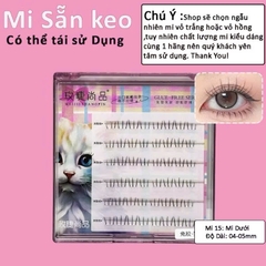 Mi Giả Sẵn Keo