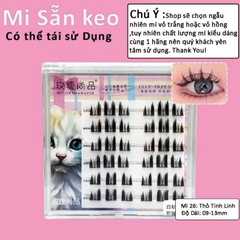 Mi Giả Sẵn Keo