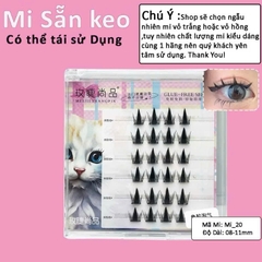 Mi Giả Sẵn Keo